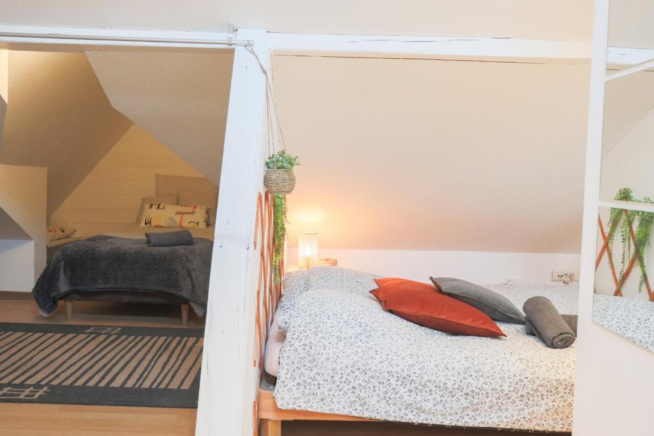 Апартаменты Le Petit Loft, Mulhouse Centre Экстерьер фото