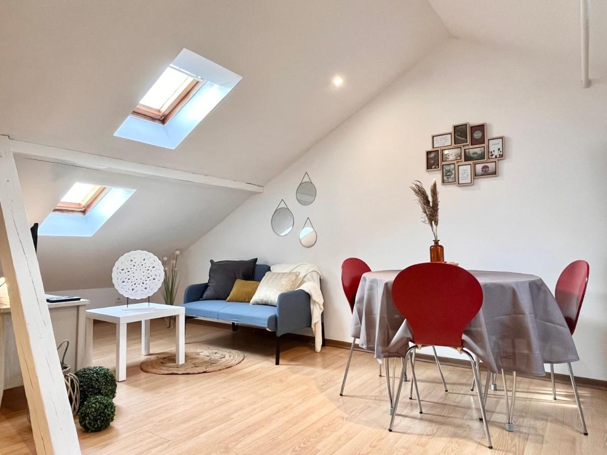 Апартаменты Le Petit Loft, Mulhouse Centre Экстерьер фото