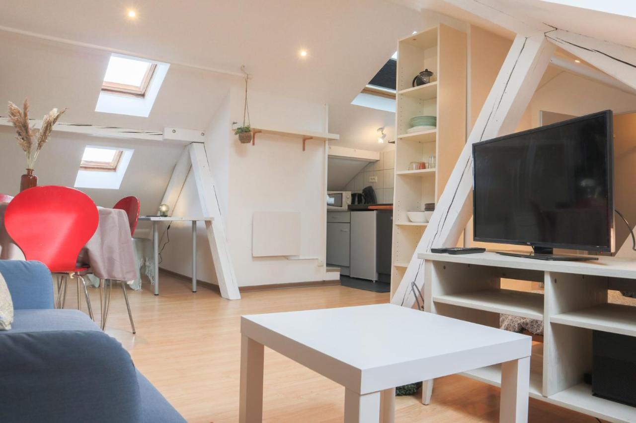 Апартаменты Le Petit Loft, Mulhouse Centre Экстерьер фото