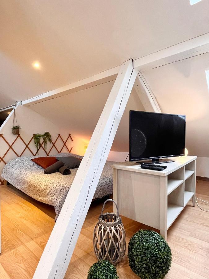 Апартаменты Le Petit Loft, Mulhouse Centre Экстерьер фото